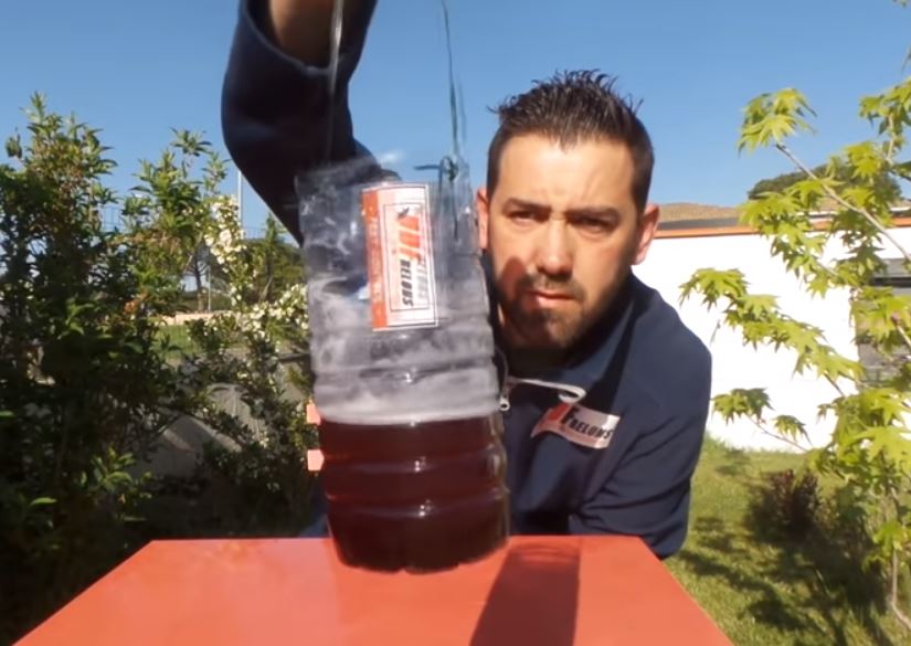 La lutte contre l’invasion du frelon asiatique dans l’Oise, c’est maintenant ! (Vidéo)