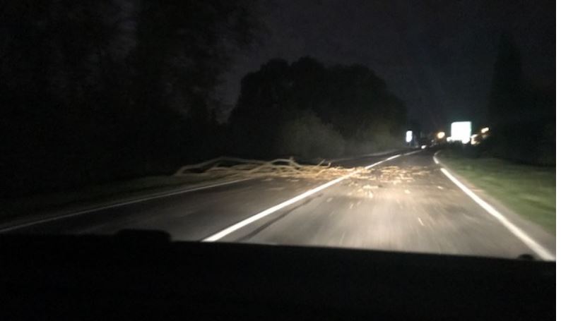 Villers-Saint-Paul : un arbre s’effondre sur la D200