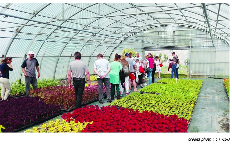 Pendant les vacances, visitez les serres municipales de Creil