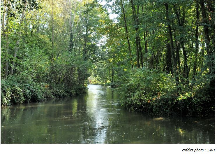 Sortie nature à Saint-Vaast-les-Mello : animation au fil du Thérain