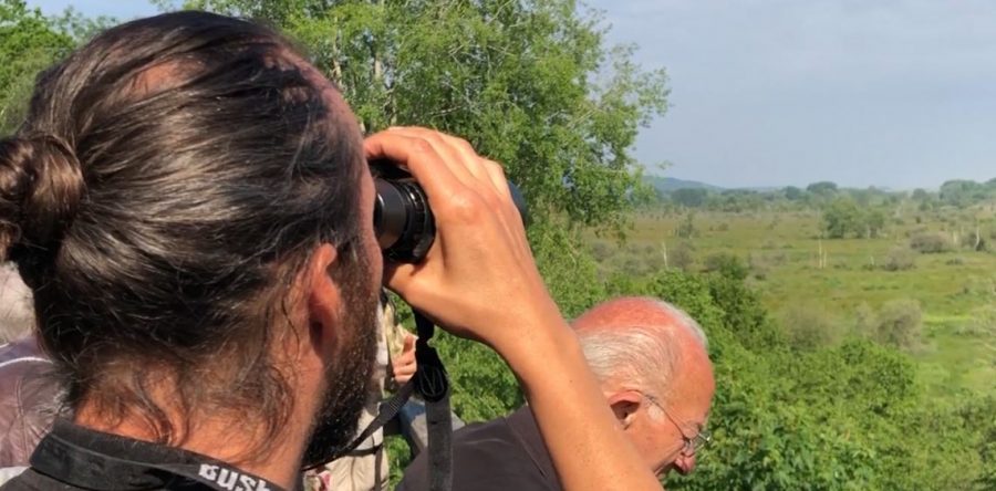 Les Marais de Sacy, un joyau de biodiversité au coeur de l’Oise