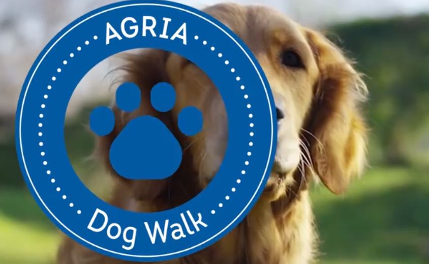 1er Dog Walk solidaire à Hermes : venez marcher avec votre chien pour la bonne cause