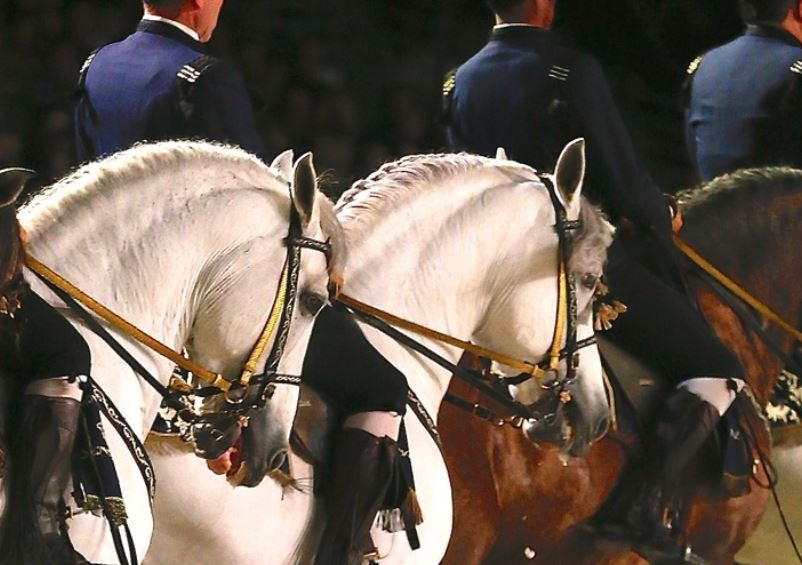 Chantilly : Il était une fois… les Grandes Écuries