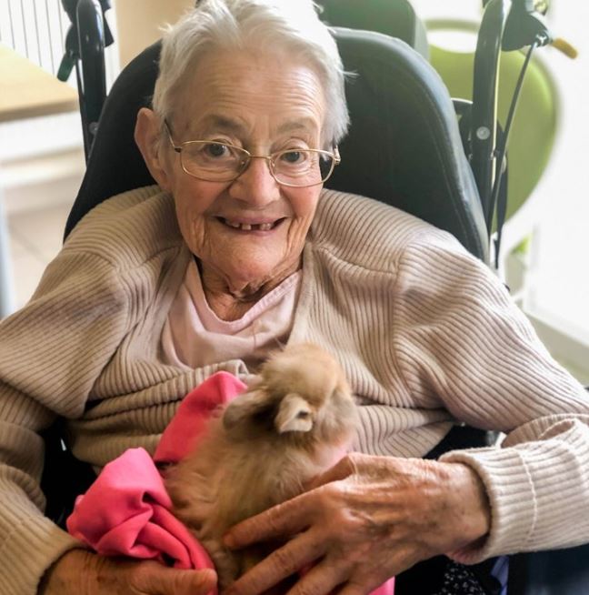 Compiègne : la médiation animale pour adoucir le quotidien des personnes âgées