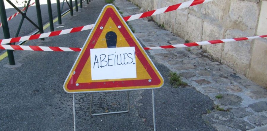 Emeville : attention au nid d’abeilles !