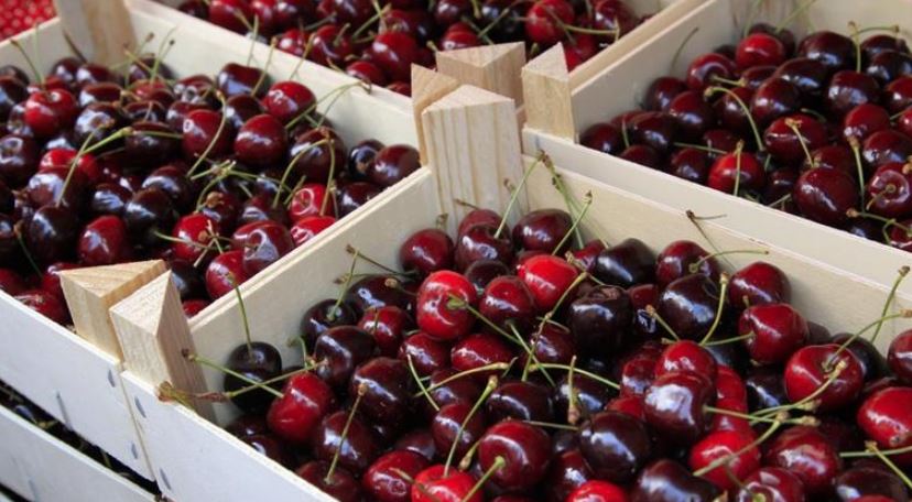 Noyon fête les fruits rouges, avec Elodie Gossuin !