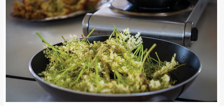 Saint-Leu-d’Esserent : atelier autour des plantes de saison