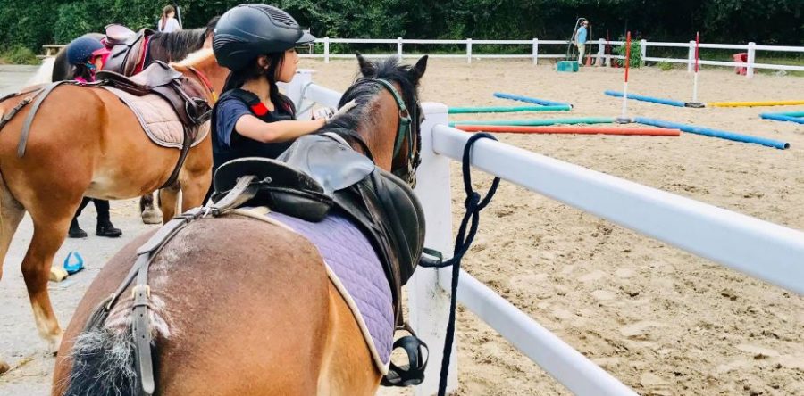 Compiègne:  de jeunes chinois découvrent l’équitation à la française.