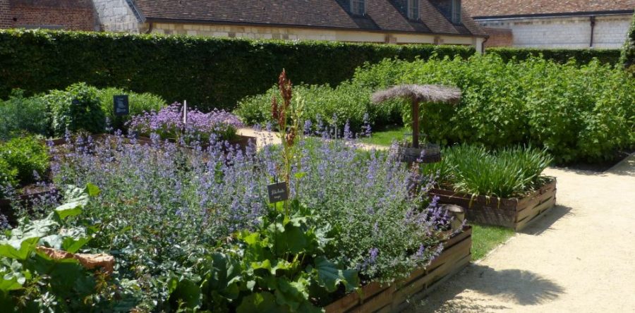 Maladrerie à Beauvais : visite-atelier “l’atelier des potions”, jeudi 15 août