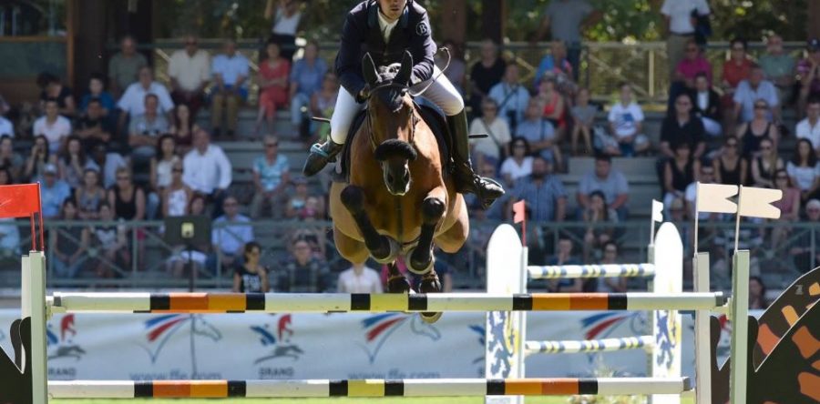 Compiègne :  concours équestre de saut d’obstacles et de dressage au stade équestre