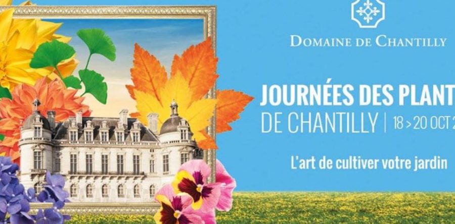 Chantilly : 10ème édition des journées des plantes !
