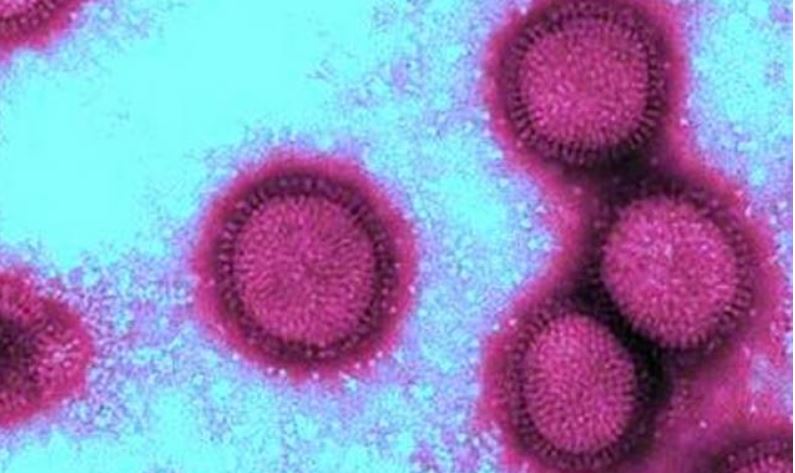 Hauts-de-France : La gastro-entérite passe à l’attaque !